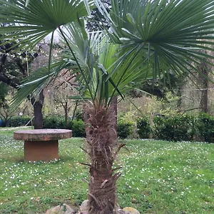 Irene Monte San Pietro